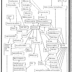 DoJ Depiction Self-defeating Accountability System