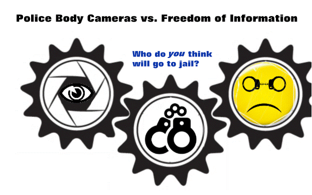 infographic cameras